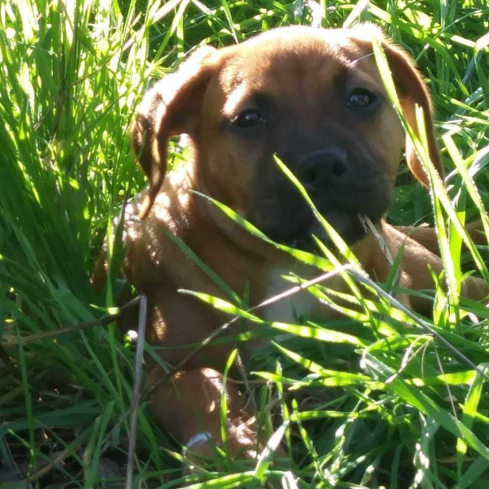 Meet your Posher, Rhonda